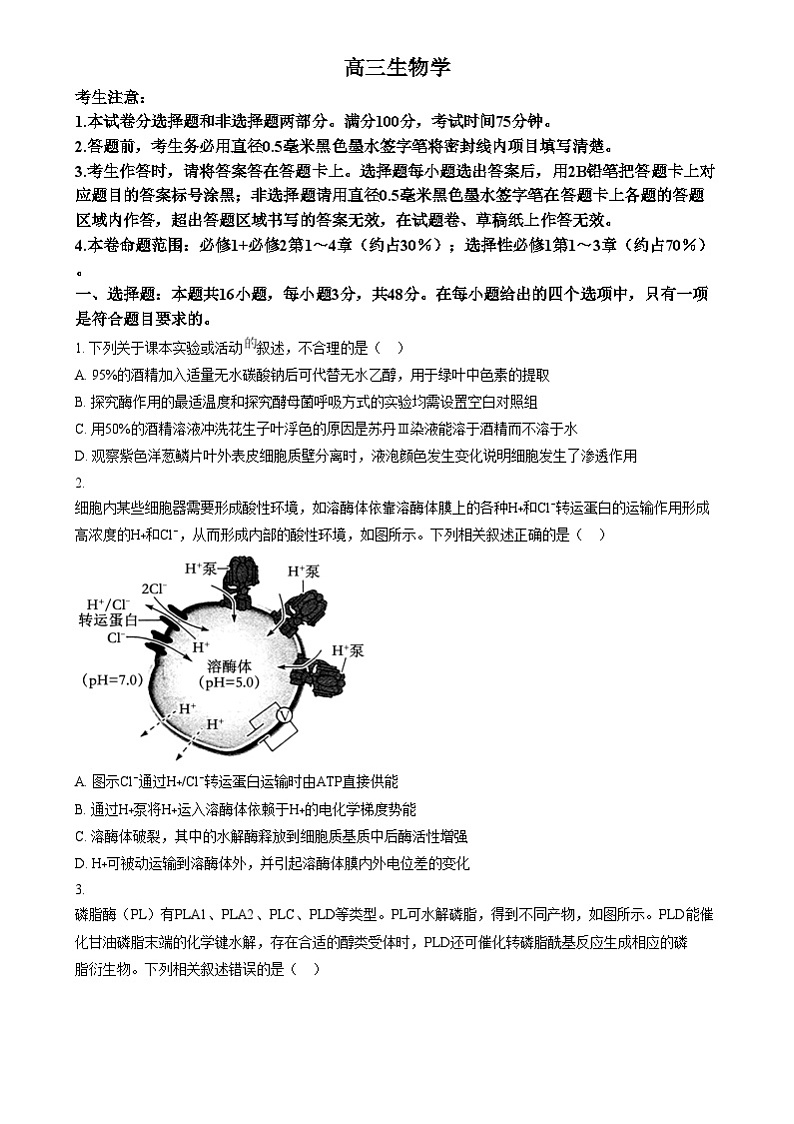 河南省创新发展联盟质量检测2024-2025学年高三上学期11月期中生物试题无答案第1页