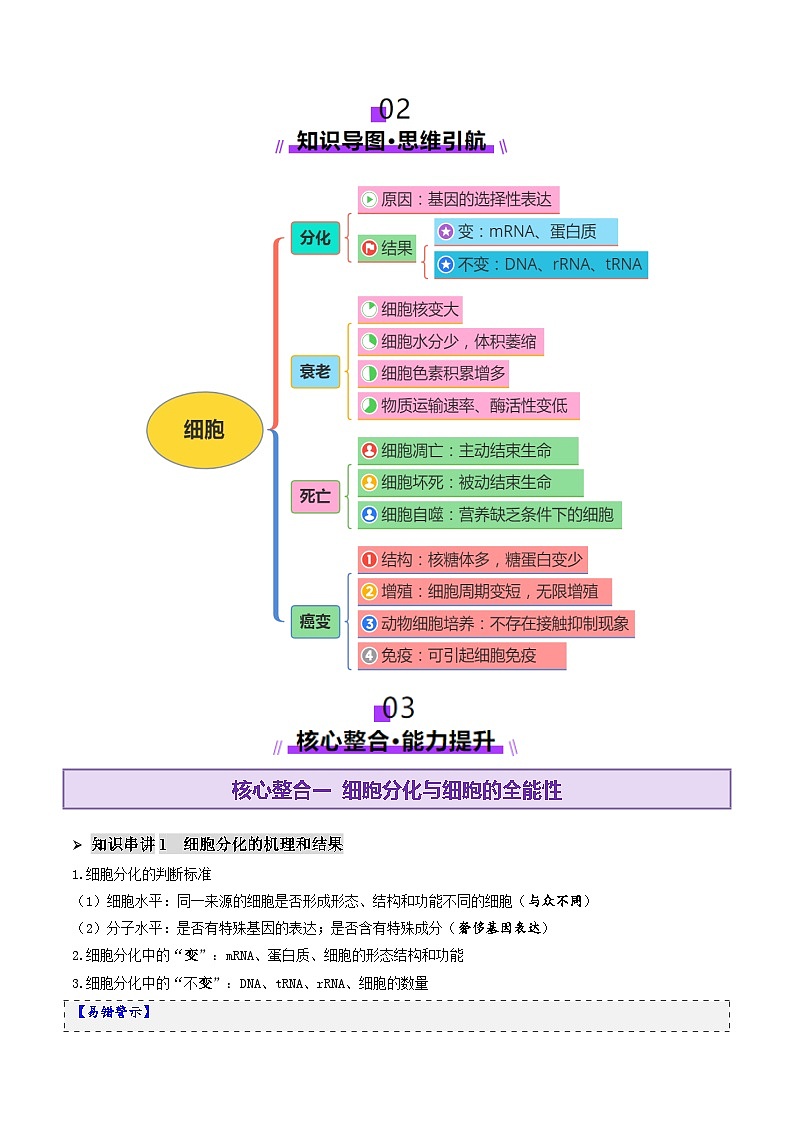 第06讲 细胞的分化、衰老、死亡和癌变(讲义)-2025年高考生物二轮复习(新高考通用)  (解析版)第3页