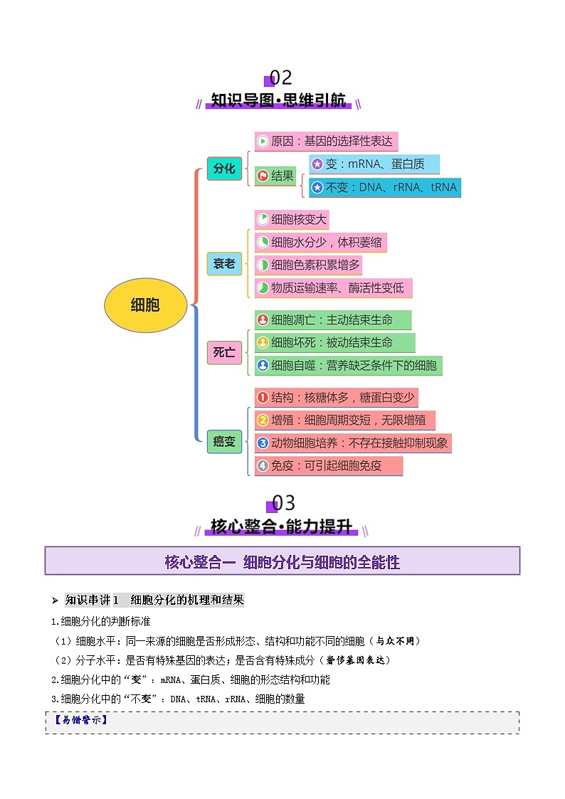 第06讲 细胞的分化、衰老、死亡和癌变(讲义)-2025年高考生物二轮复习(新高考通用)  (原卷版)第3页