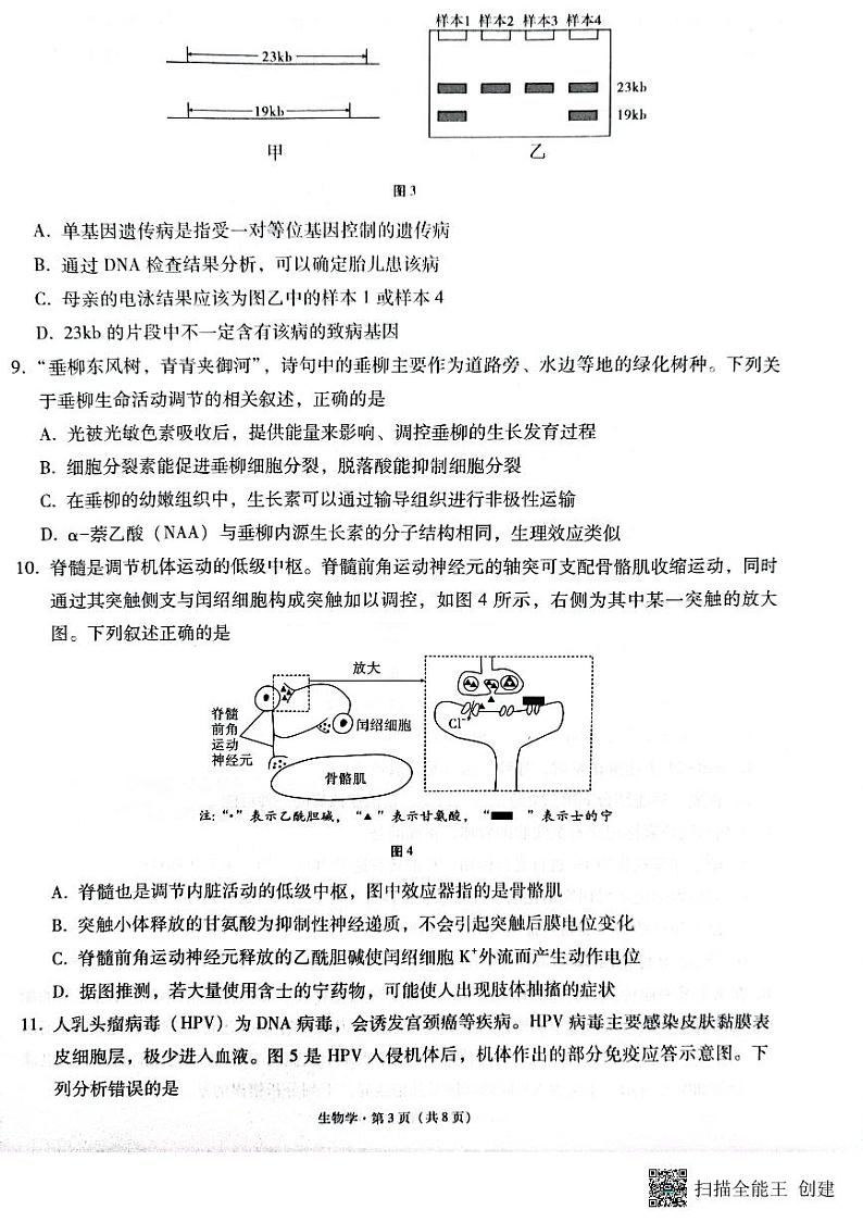 云南省昭通市2025届高三上学期期末生物试卷及答案第3页
