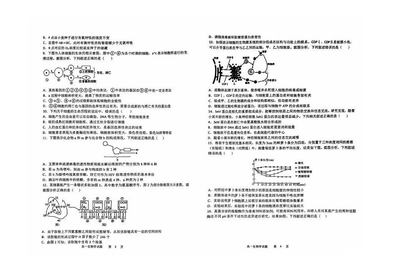 黑龙江省牡丹江市名校协作体2024-2025学年高一上学期期末考试生物试卷第2页
