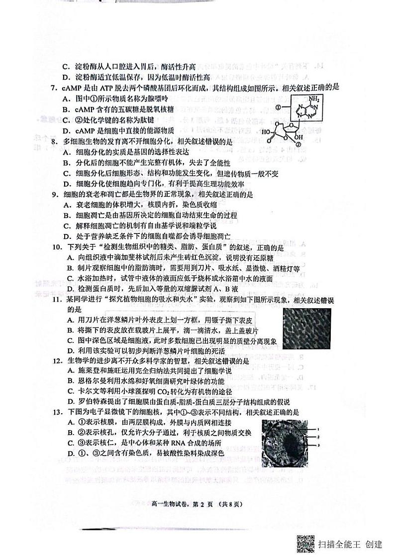江苏省南通市2024-2025学年高一上学期1月期末生物试题第2页