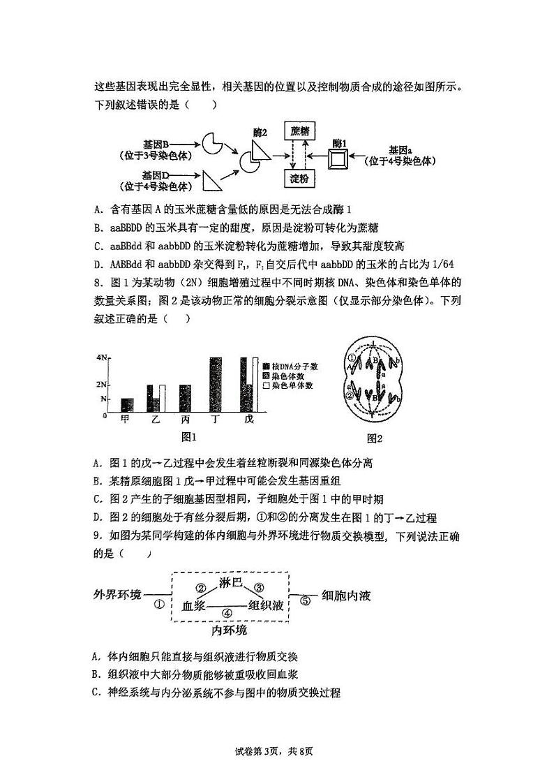 江西省南丰县第一中学2024-2025学年高三上学期期末测试生物试题第3页