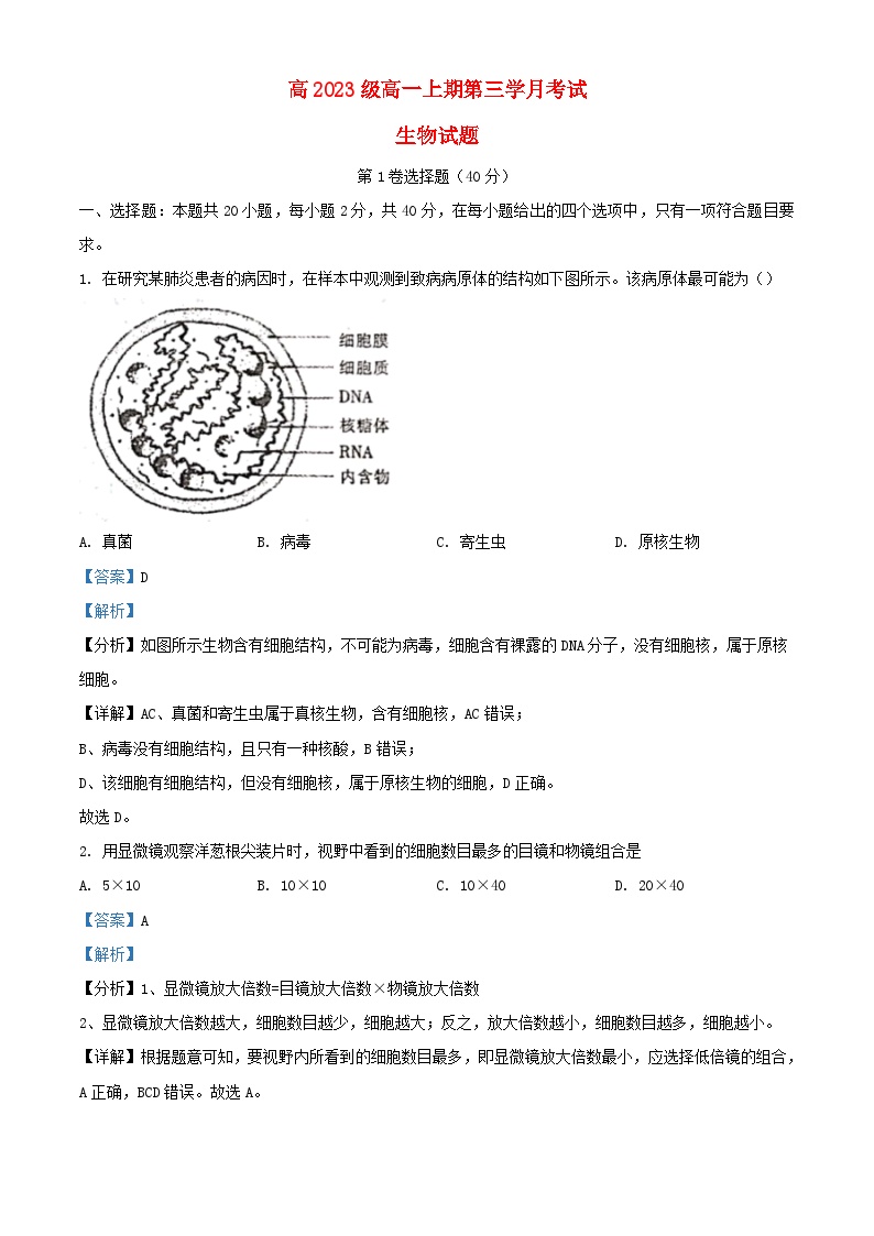 四川省泸县五中2023_2024学年高一生物上学期12月月考试题含解析