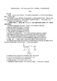 安徽省阜阳市临泉县2024-2025学年高二上学期期末测试生物试题