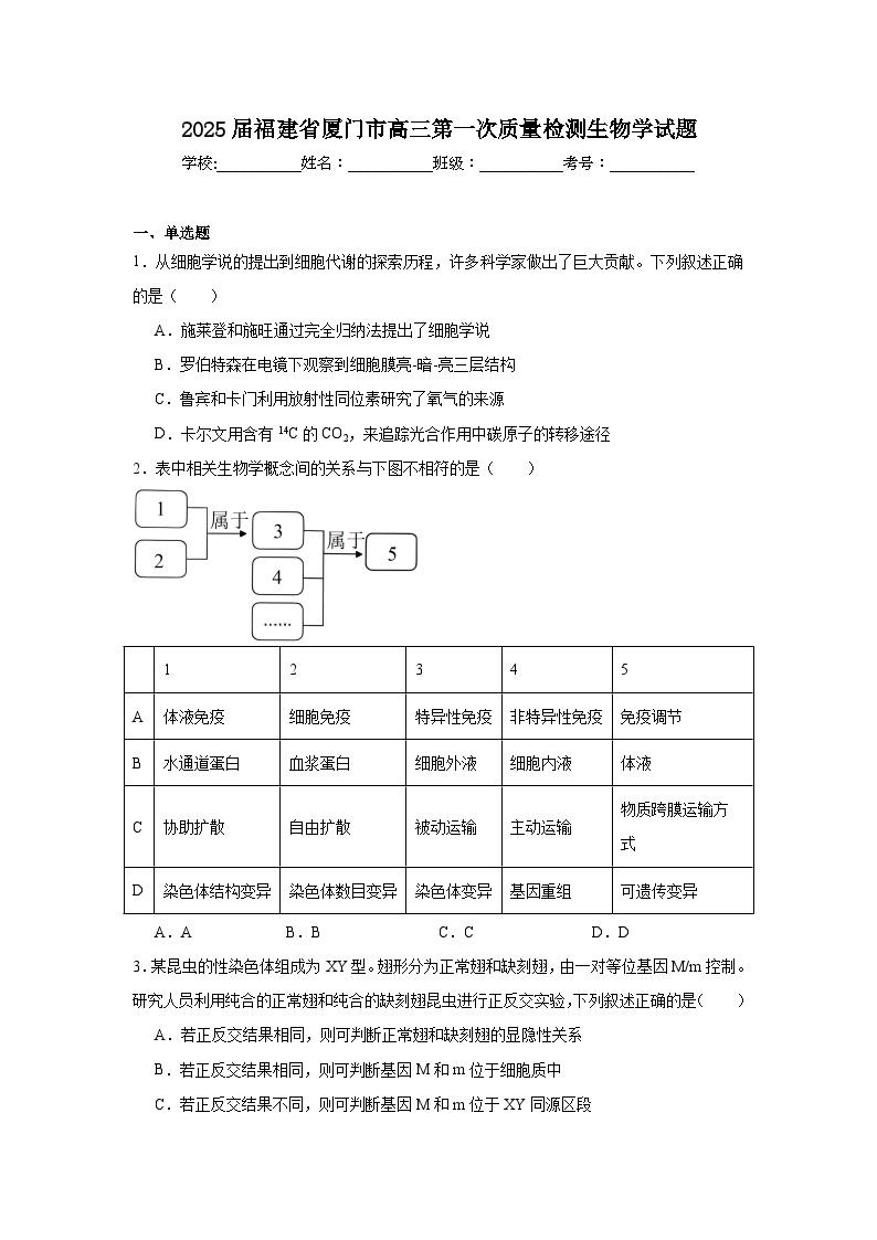 2025届福建省厦门市高三第一次质量检测生物学试题