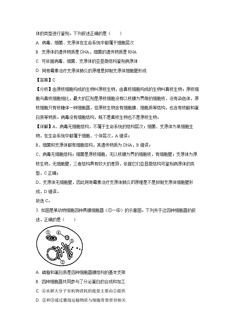 2024-2025学年湖南省多校联考高三上学期11月联考生物试卷(解析版)第2页
