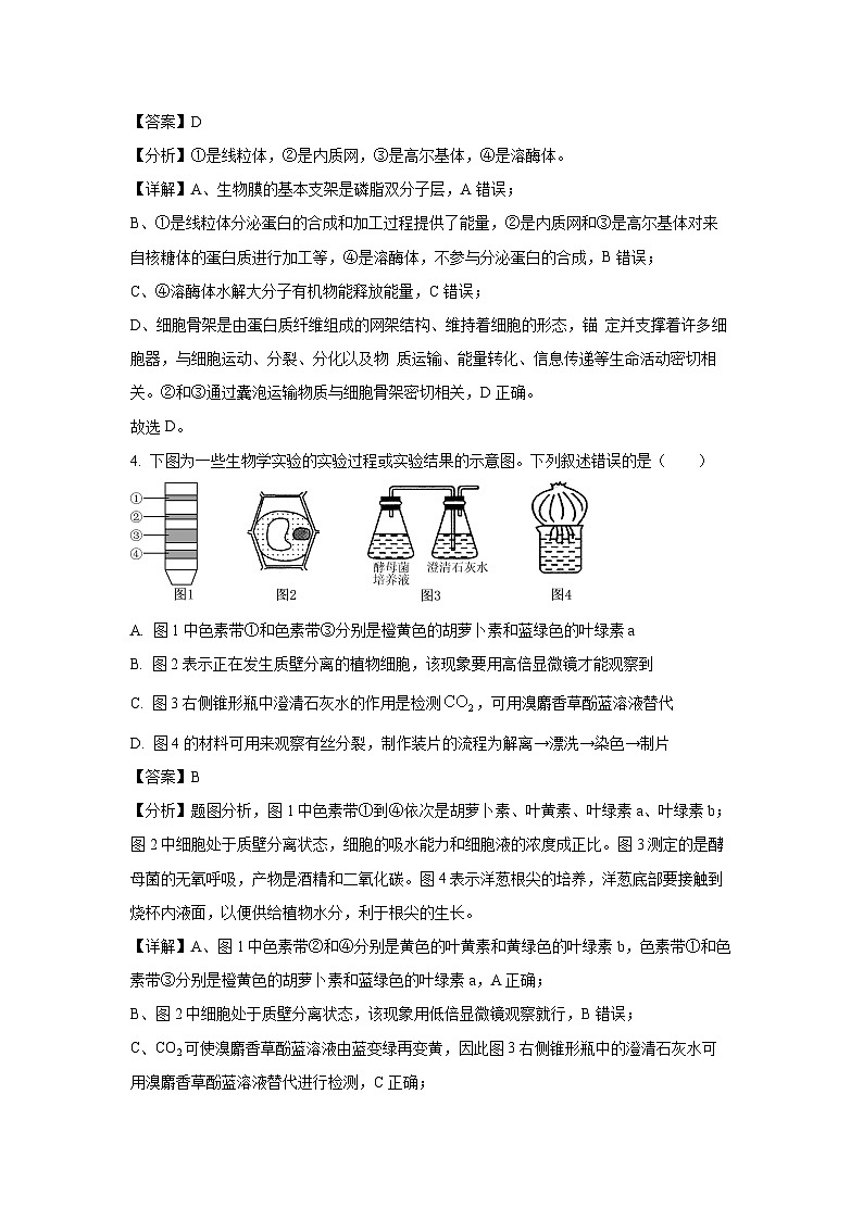 2024-2025学年湖南省多校联考高三上学期11月联考生物试卷(解析版)第3页