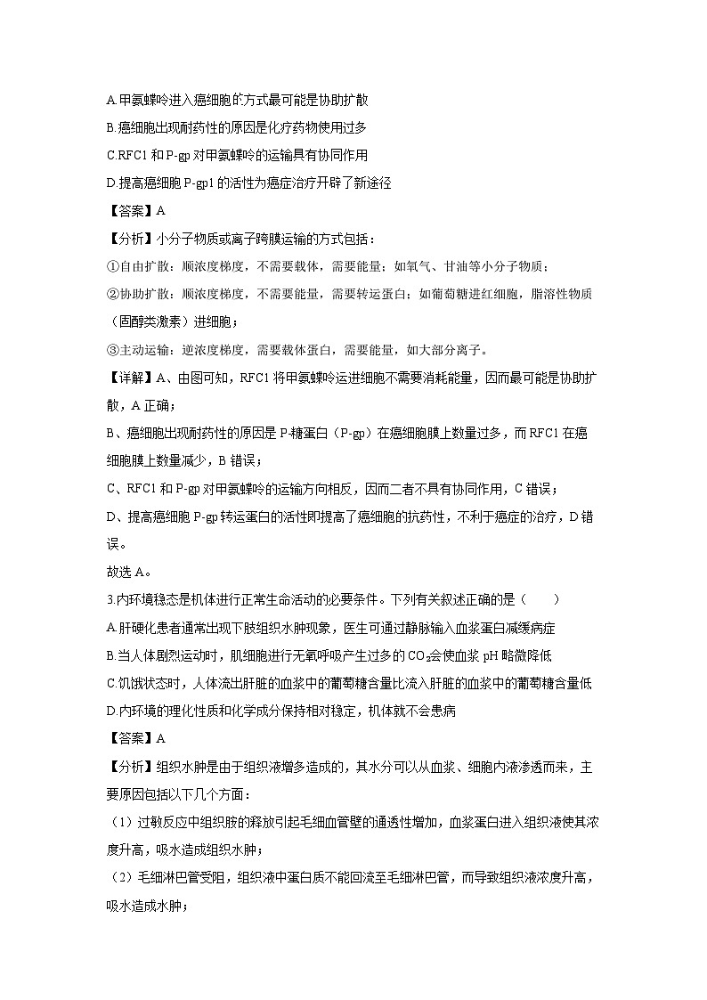 2024-2025学年湖南省名校高二上学期12月检测生物试卷(解析版)第2页
