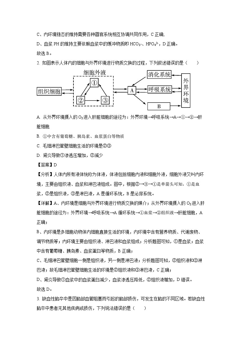 2024-2025學年湖北省武漢市常青聯(lián)合體高二上學期11月期中考試生物試卷（解析版）第2頁