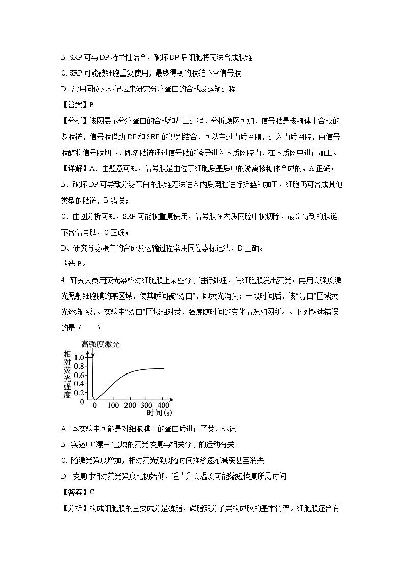 2024-2025学年河南省部分重点中学高三上学期11月质量检测生物试卷(解析版)第3页