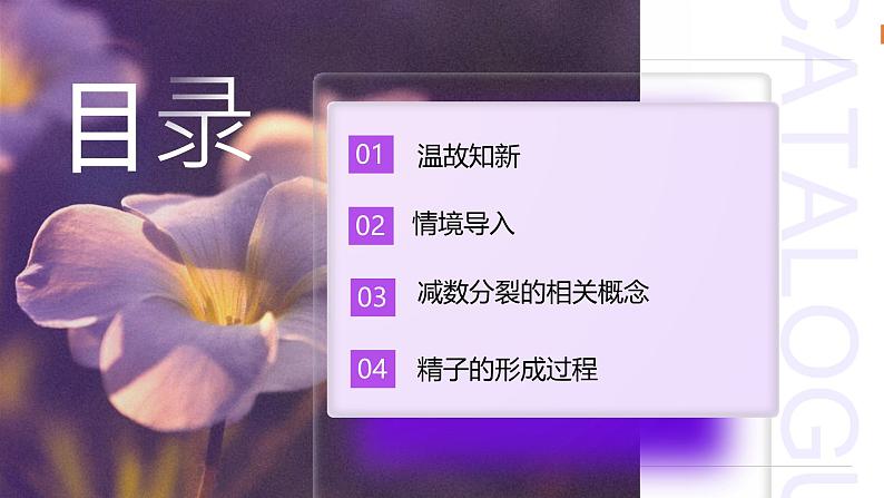 2.1.1 减数分裂(第1课时 减数分裂相关概念和精子的形成过程)课件-2024-2025学年高一下学期生物(人教版2019必修2)第2页