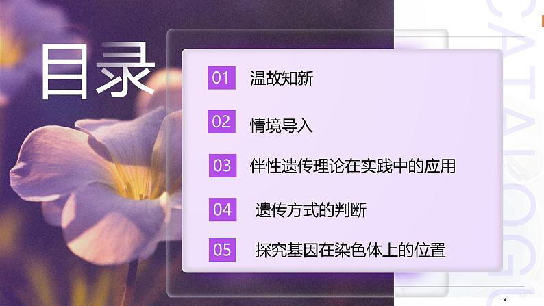 2.3 伴性遗传(第2课时)课件-2024-2025学年高一下学期生物(人教版2019必修2)第2页