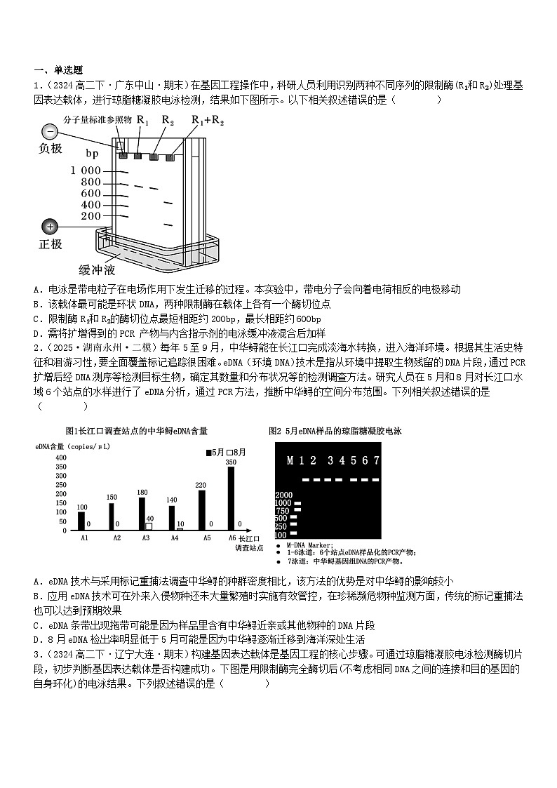 清单10 基因工程与育种电泳PCR原理依据相结合-备战2025年高考生物二轮热点背练清单(新高考通用)(原卷版)第2页