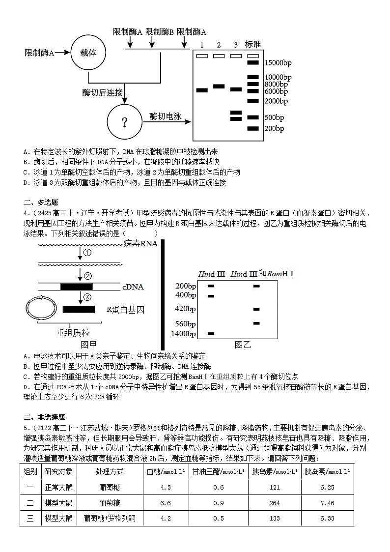 清单10 基因工程与育种电泳PCR原理依据相结合-备战2025年高考生物二轮热点背练清单(新高考通用)(原卷版)第3页