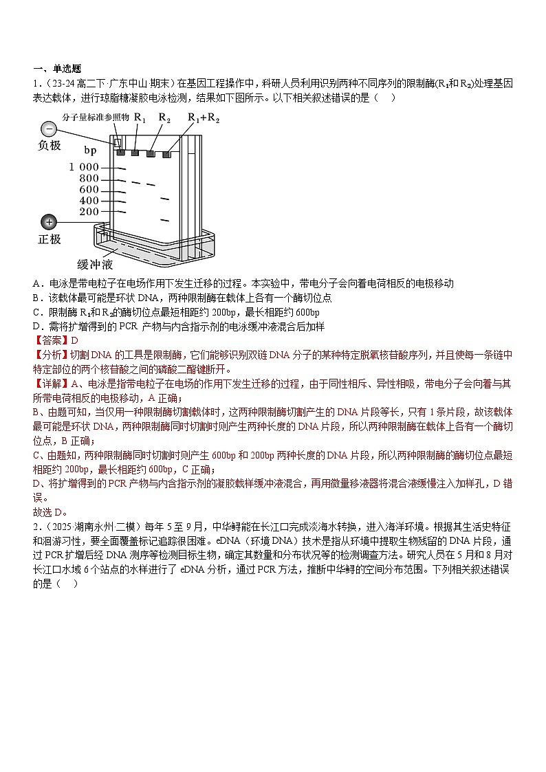 清单10 基因工程与育种电泳PCR原理依据相结合-备战2025年高考生物二轮热点背练清单(新高考通用)(解析版)第2页