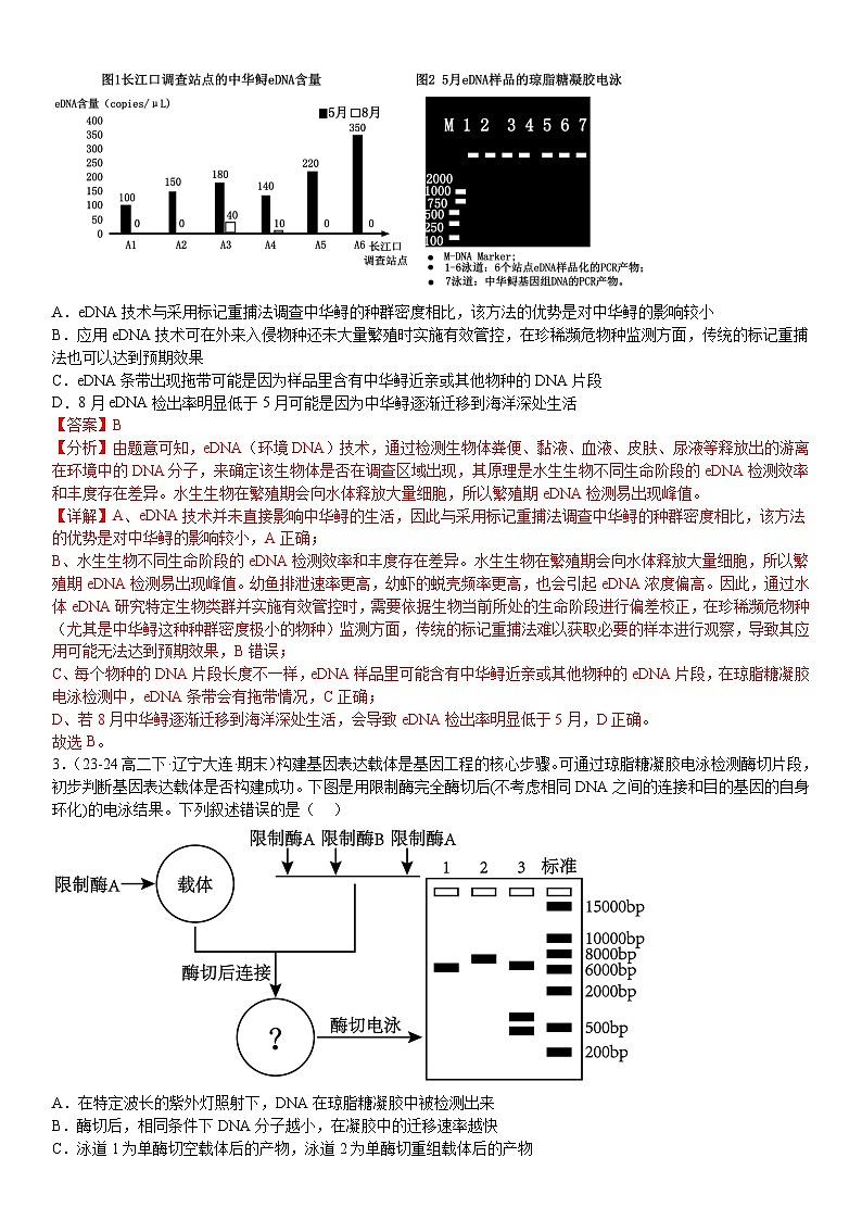 清单10 基因工程与育种电泳PCR原理依据相结合-备战2025年高考生物二轮热点背练清单(新高考通用)(解析版)第3页