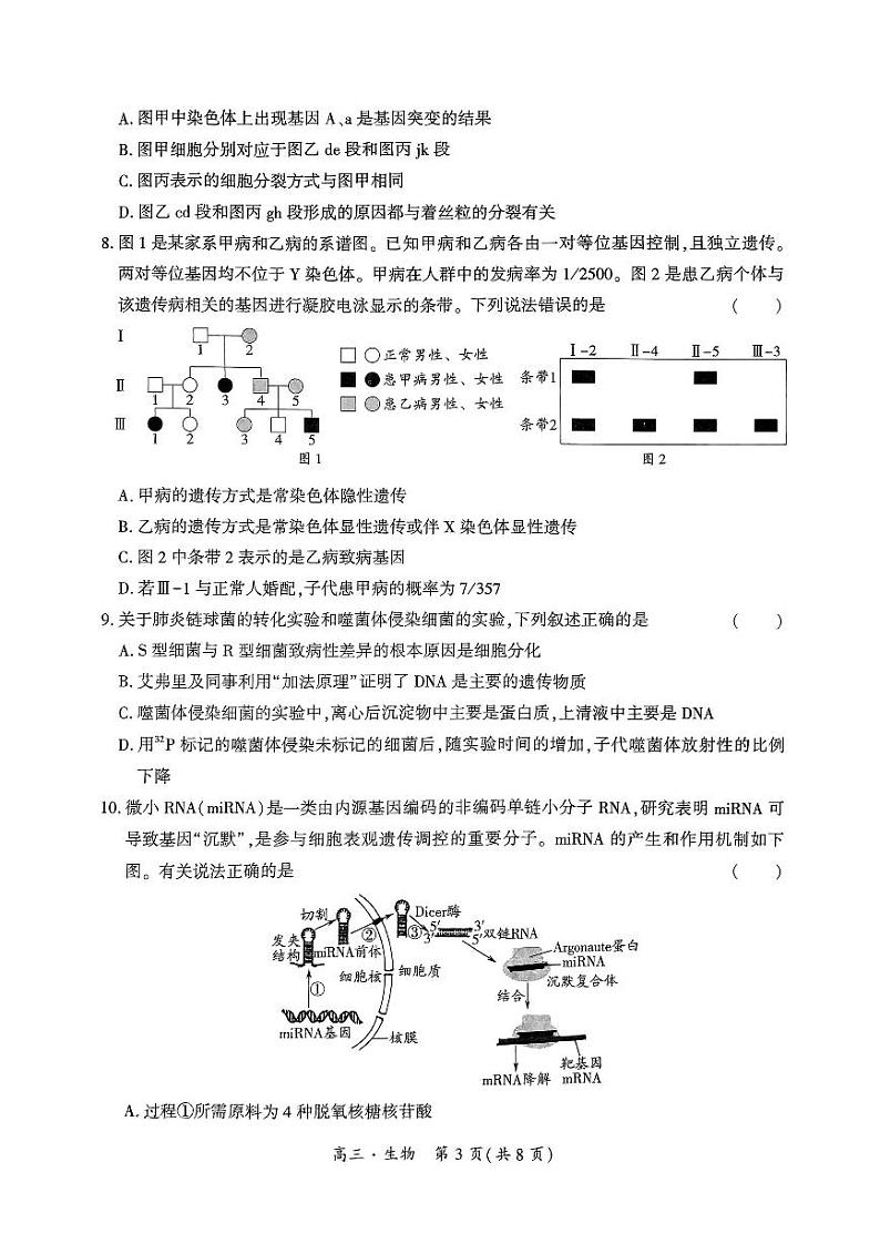 黔南州2024-2025学年高三上学期期末质量监测 生物试题+答案第3页
