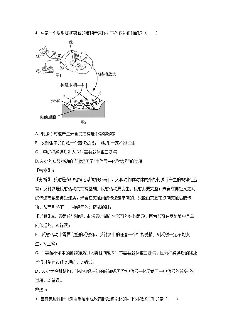 2024-2025学年江苏省连云港市灌南县高二上学期11月期中生物试卷(解析版)第3页