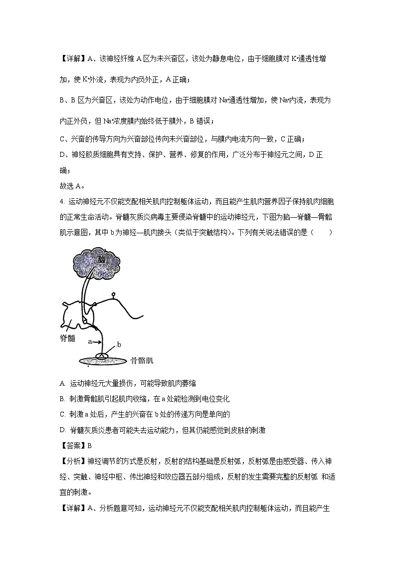 江苏省淮安市高中校协作体2024~2025学年高二上学期期中联考生物试卷(解析版)第3页