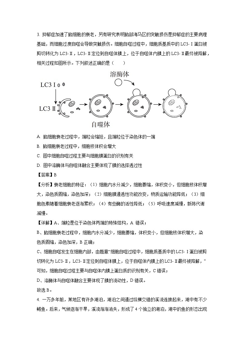 2024-2025学年广西部分学校联考高三上学期11月月考生物试卷(解析版)第3页