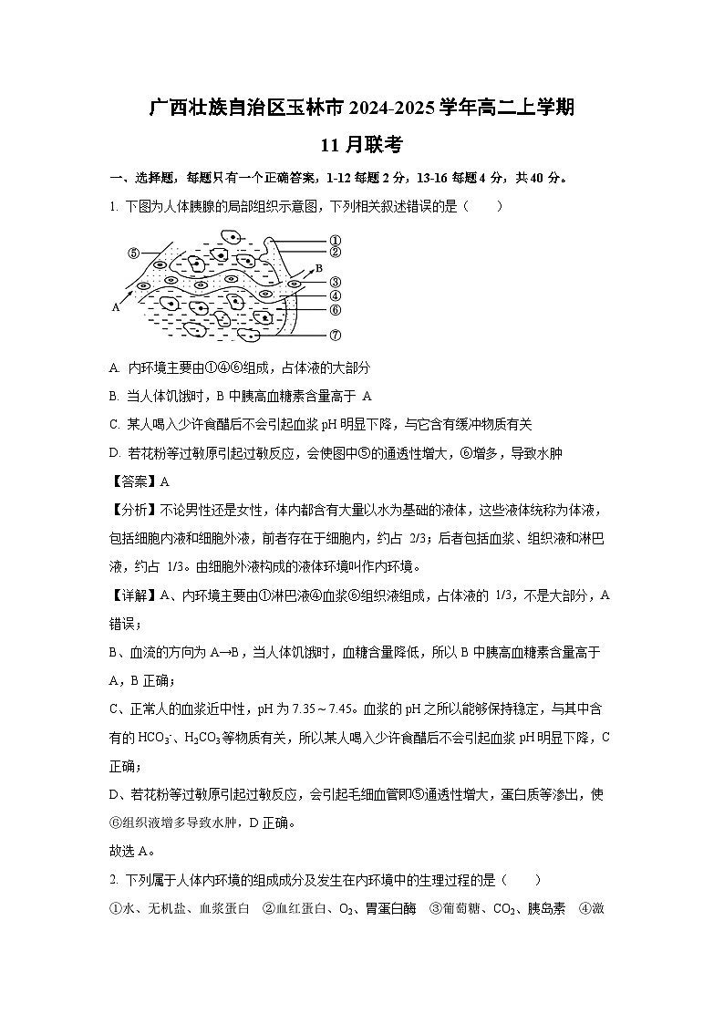 2024-2025学年广西壮族自治区玉林市高二上学期11月联考生物试卷(解析版)第1页