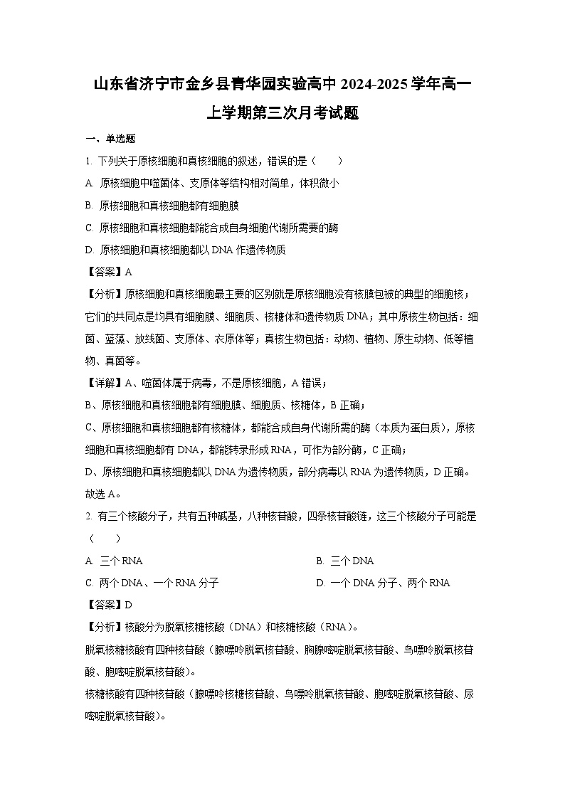 2024-2025学年山东省济宁市金乡县青华园实验高中高一上学期第三次月考生物试卷（解析版）