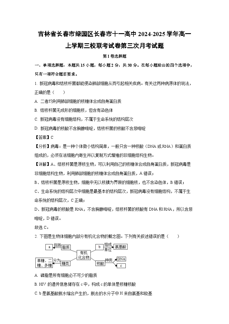 2024-2025学年吉林省长春市绿园区长春市十一高中高一上学期三校联考第三次月考生物试卷（解析版）