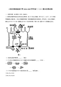 上海市青浦高级中学2024-2025学年高二（上）期末生物试卷