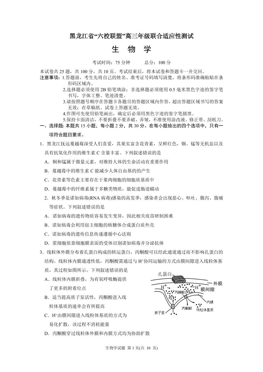 黑龙江省“六校联盟”2025届高三高考模拟上学期联合适应性考试生物+答案