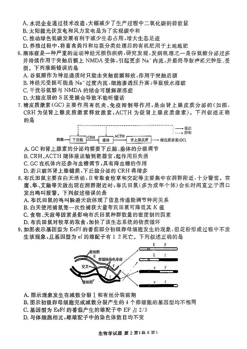 衡水金卷2025届高三上学期期末联考生物+答案第2页