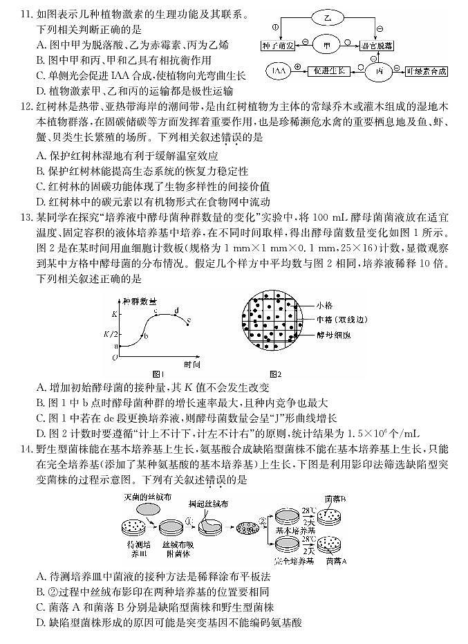 山西省三晋卓越联盟2025届高三上学期期末质量检测卷生物第3页