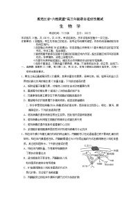 黑龙江省“六校联盟”2025届高三上学期联合适应性考试生物试题（Word版附答案）