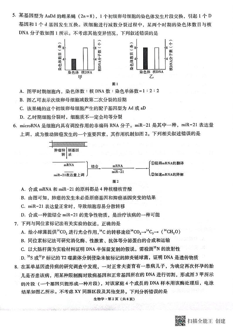 云南省昭通市2025届高三上学期1月毕业生诊断性检测生物第2页