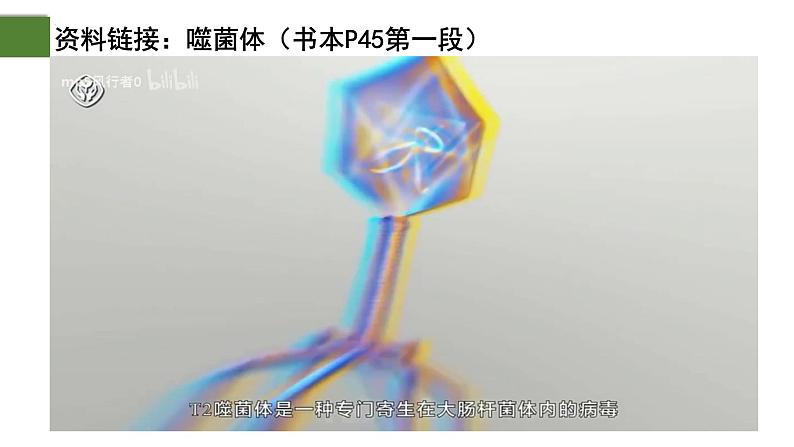 3.1 DNA是主要的遗传物质(第2课时)-2024-2025学年高一生物下学期精品课件(2019人教版必修2)第6页