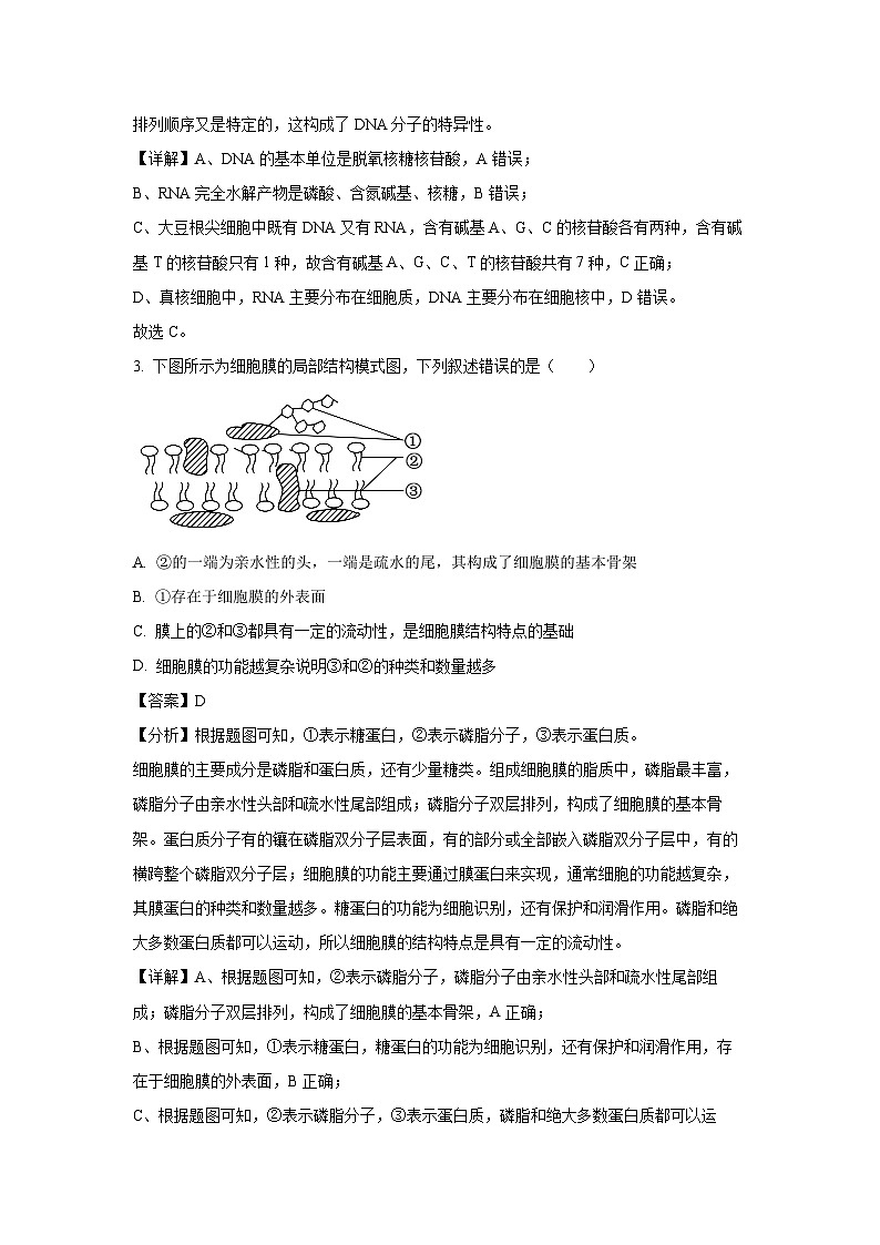 河北省保定市2024-2025学年高一上学期12月月考试生物试题(解析版)第2页