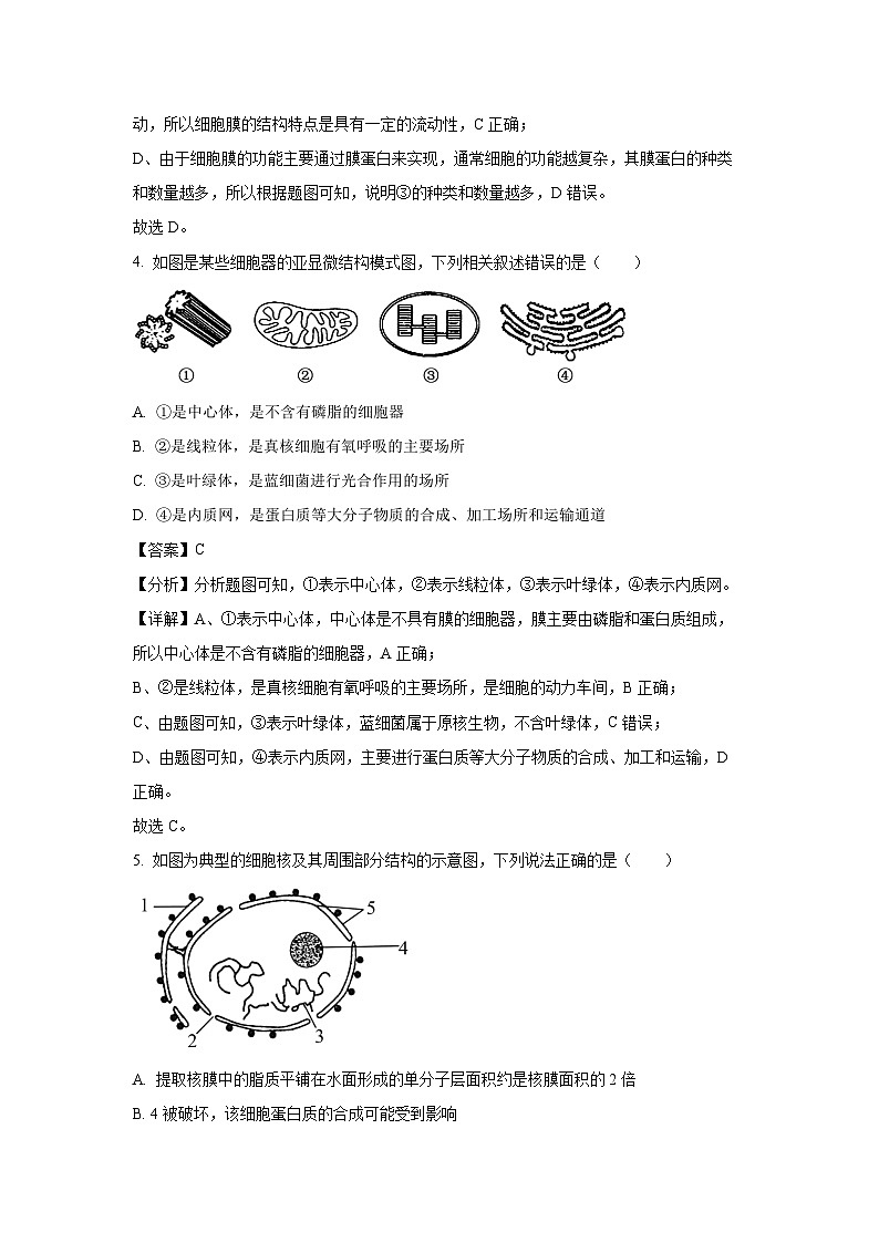 河北省保定市2024-2025学年高一上学期12月月考试生物试题(解析版)第3页