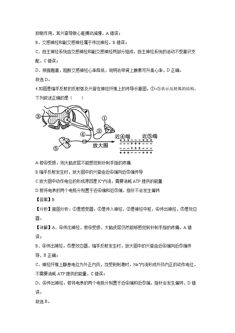 天津市河北区2024-2025学年高二上学期11月期中考试生物试题(解析版)第3页