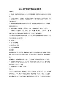 2025届广西南宁高三上11月联考生物试卷（解析版）