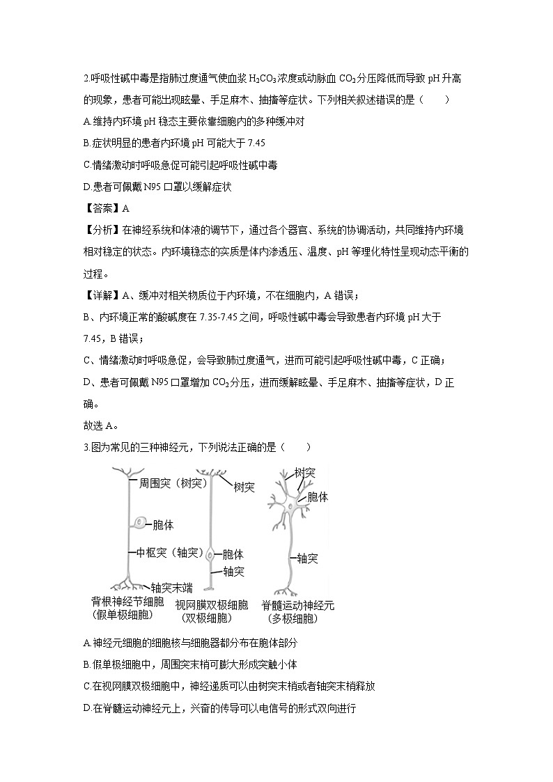 山东省临沂市河东区2024-2025学年高二上学期11月期中考试生物试卷(解析版)第2页