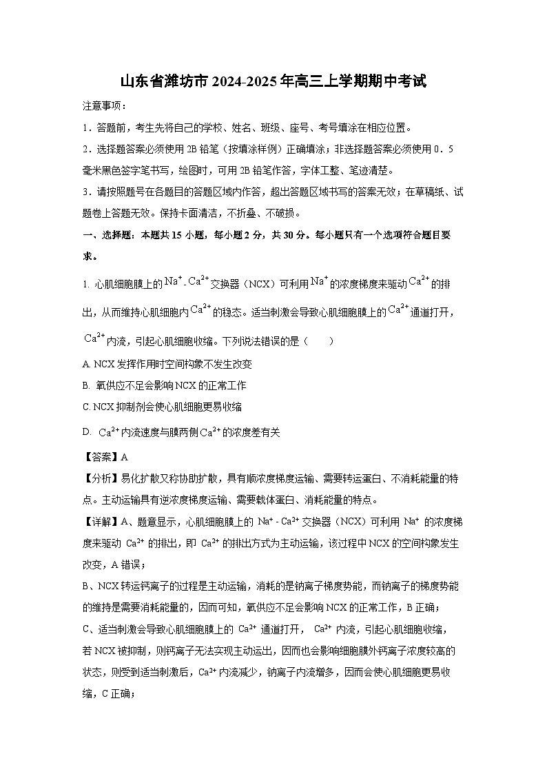 山东省潍坊市2024-2025年高三上学期期中考试生物试卷(解析版)第1页