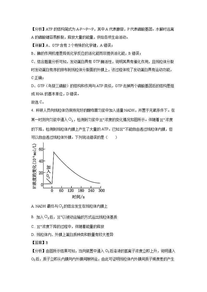 山东省潍坊市2024-2025年高三上学期期中考试生物试卷(解析版)第3页