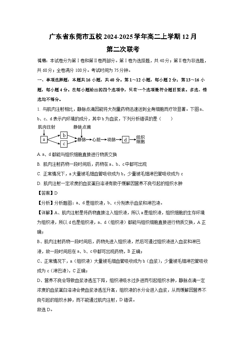 广东省东莞市五校2024-2025学年高二上学期12月第二次联考生物试卷(解析版)第1页