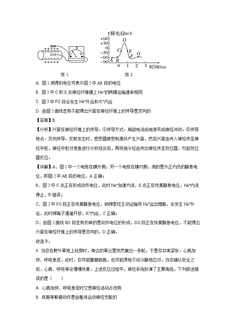 广西部分名校2024-2025学年高二上学期12月联合检测生物试卷(解析版)第3页