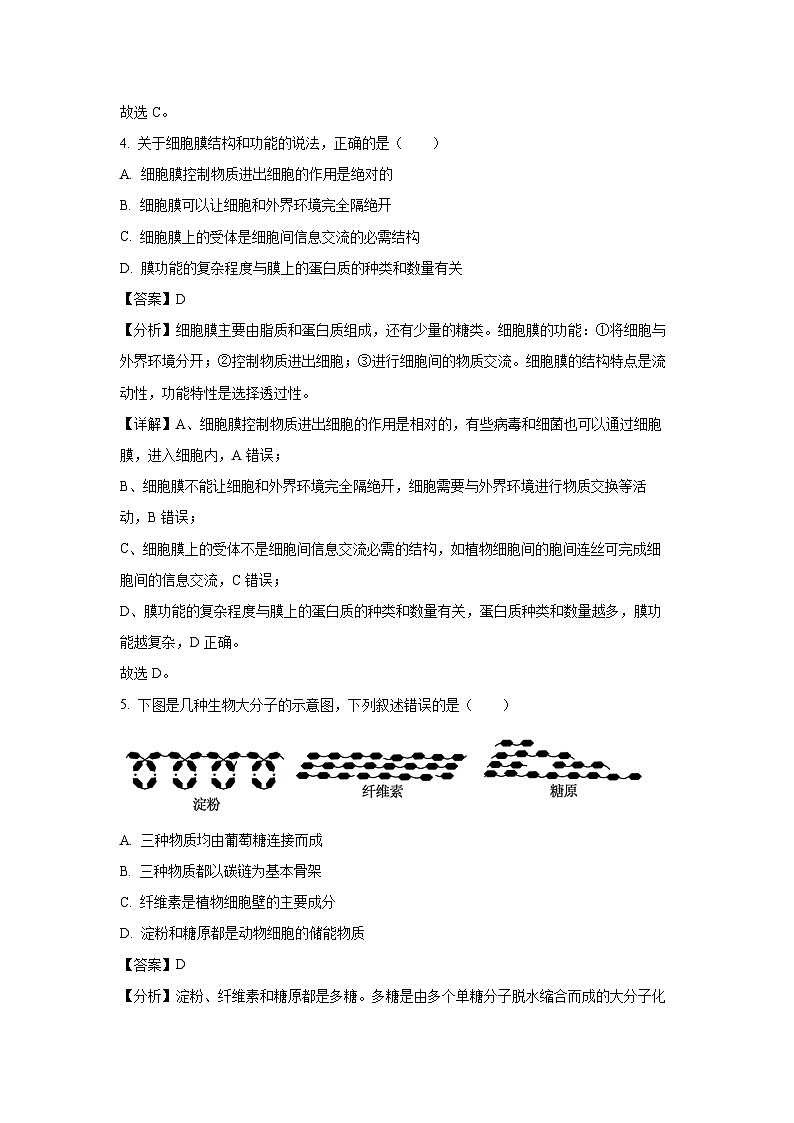 广东省部分名校2024-2025学年高一上学期12月联合检测生物试卷(解析版)第3页