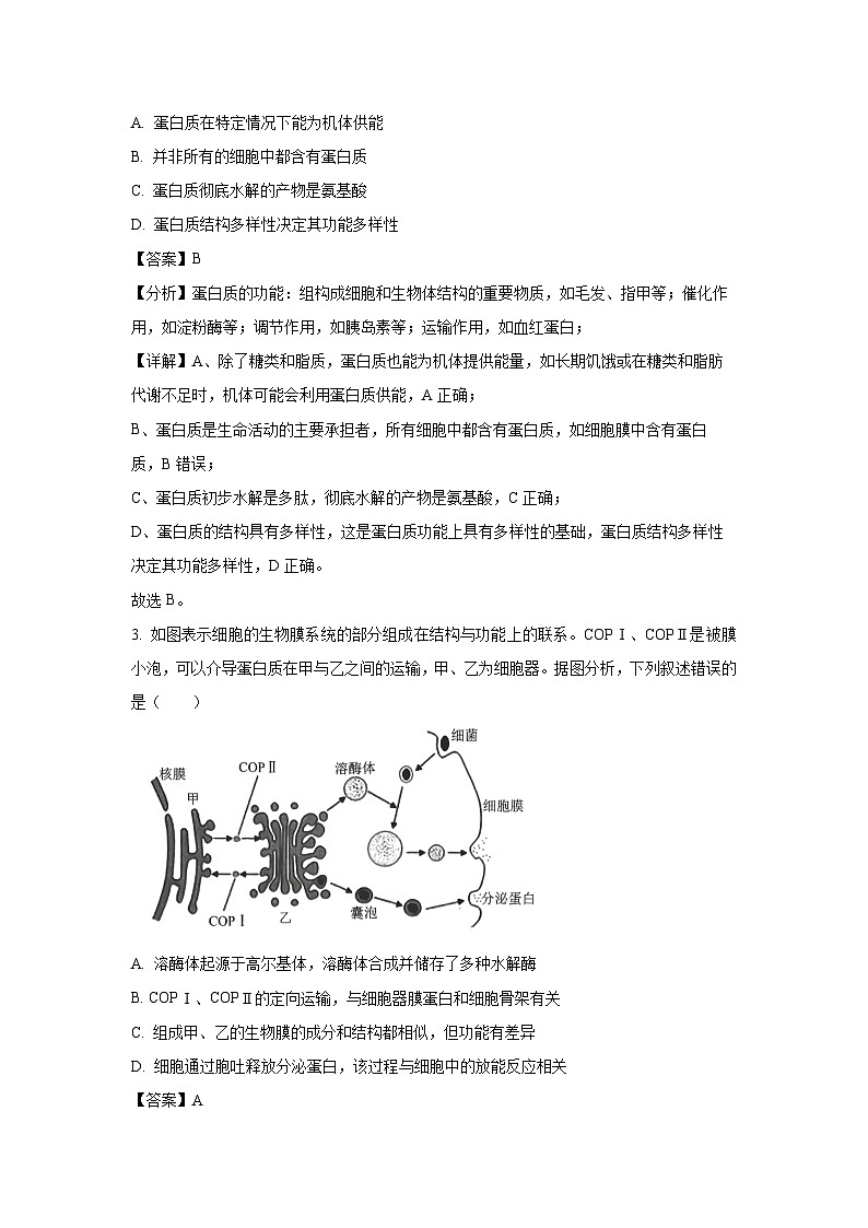 河南省华大联考2024-2025学年高三上学期11月期中考试生物试卷(解析版)第2页