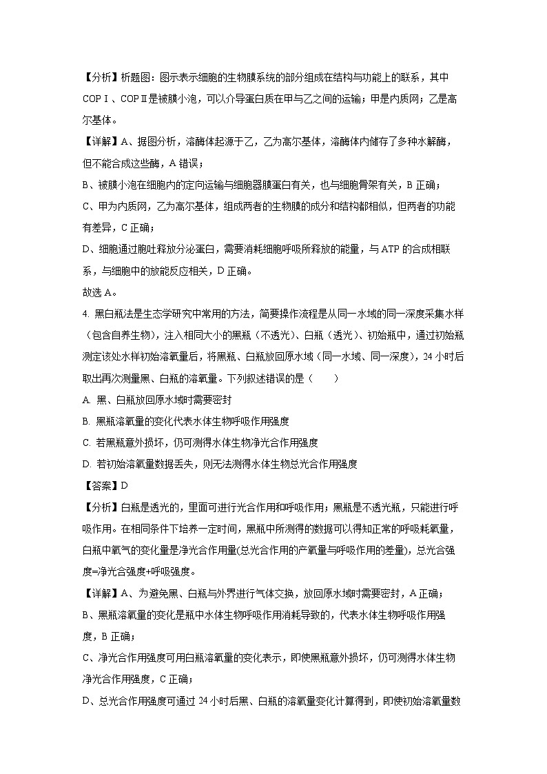 河南省华大联考2024-2025学年高三上学期11月期中考试生物试卷(解析版)第3页