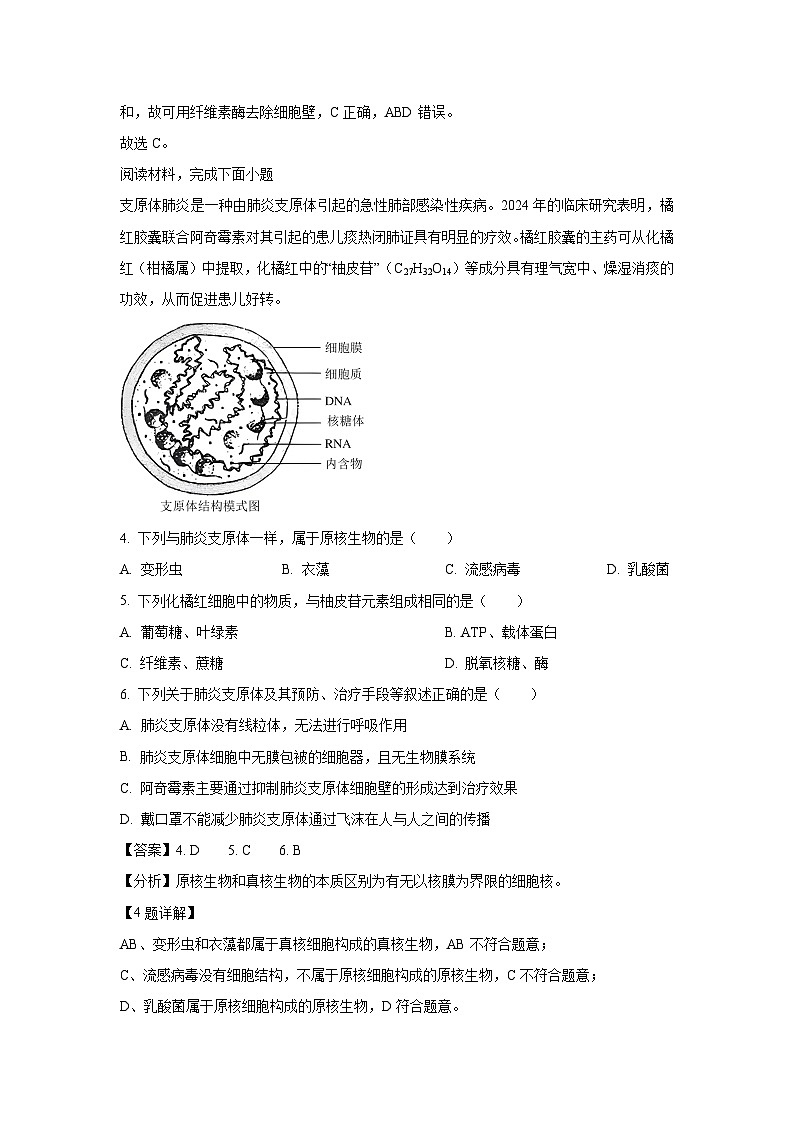 浙江省六校联盟2024-2025学年高一上学期11月期中联考生物试卷(解析版)第2页