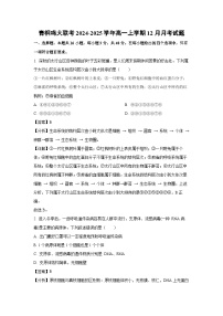 青桐鸣大联考2024-2025学年高一上学期12月月考生物试卷（解析版）