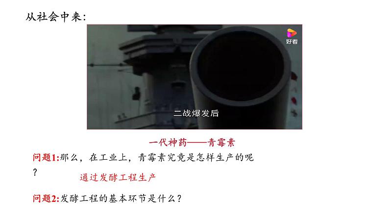 1.3发酵工程及其应用 课件(内嵌视频)第2页